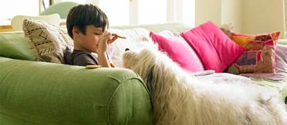 Odores de animais domésticos