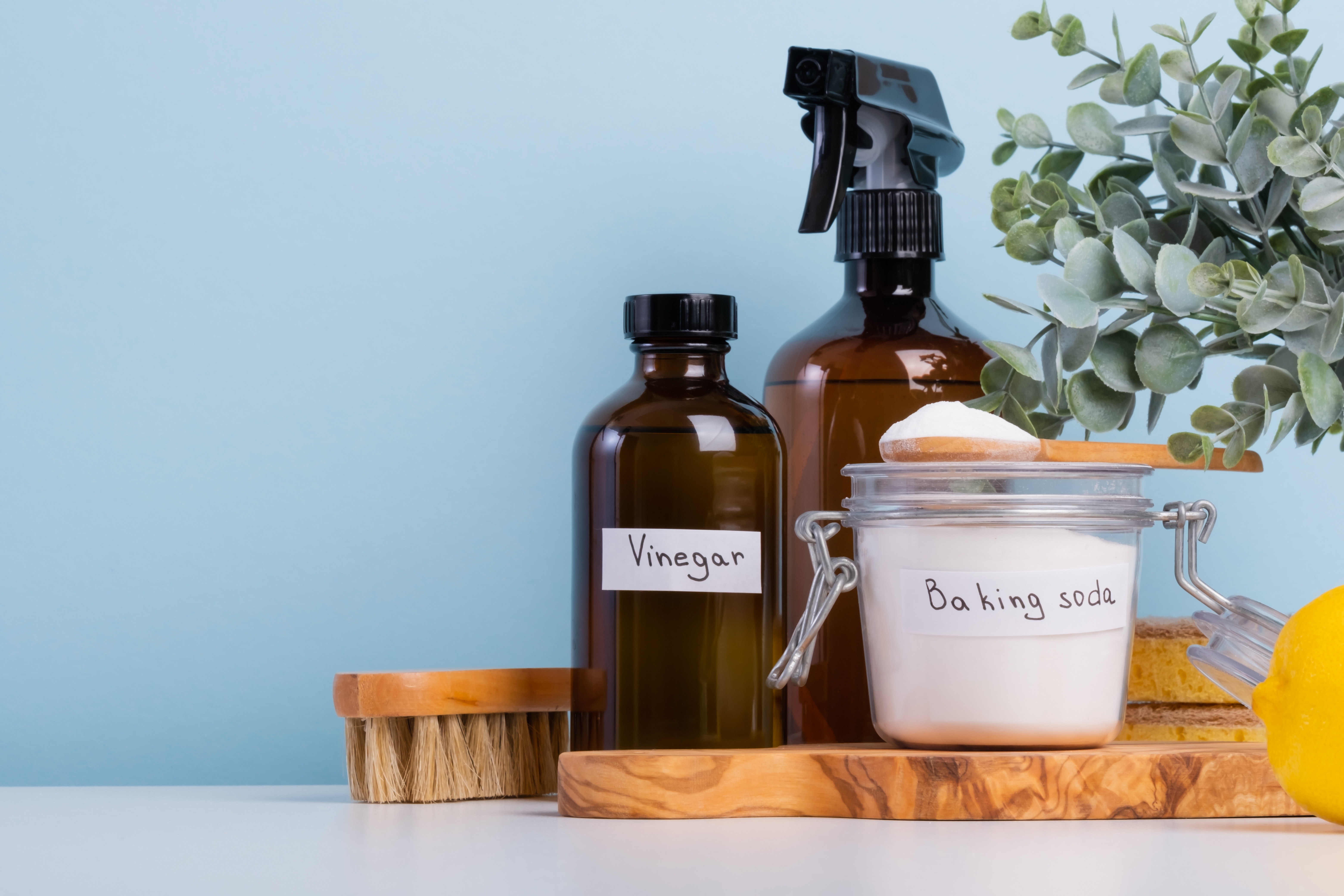 Biodegradable stain remover