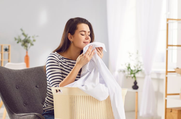 Mildew stain removal