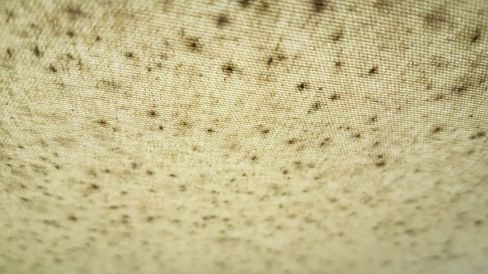 red mold on clothes