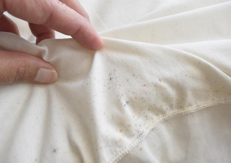 Closeup of mould buildup on fabric