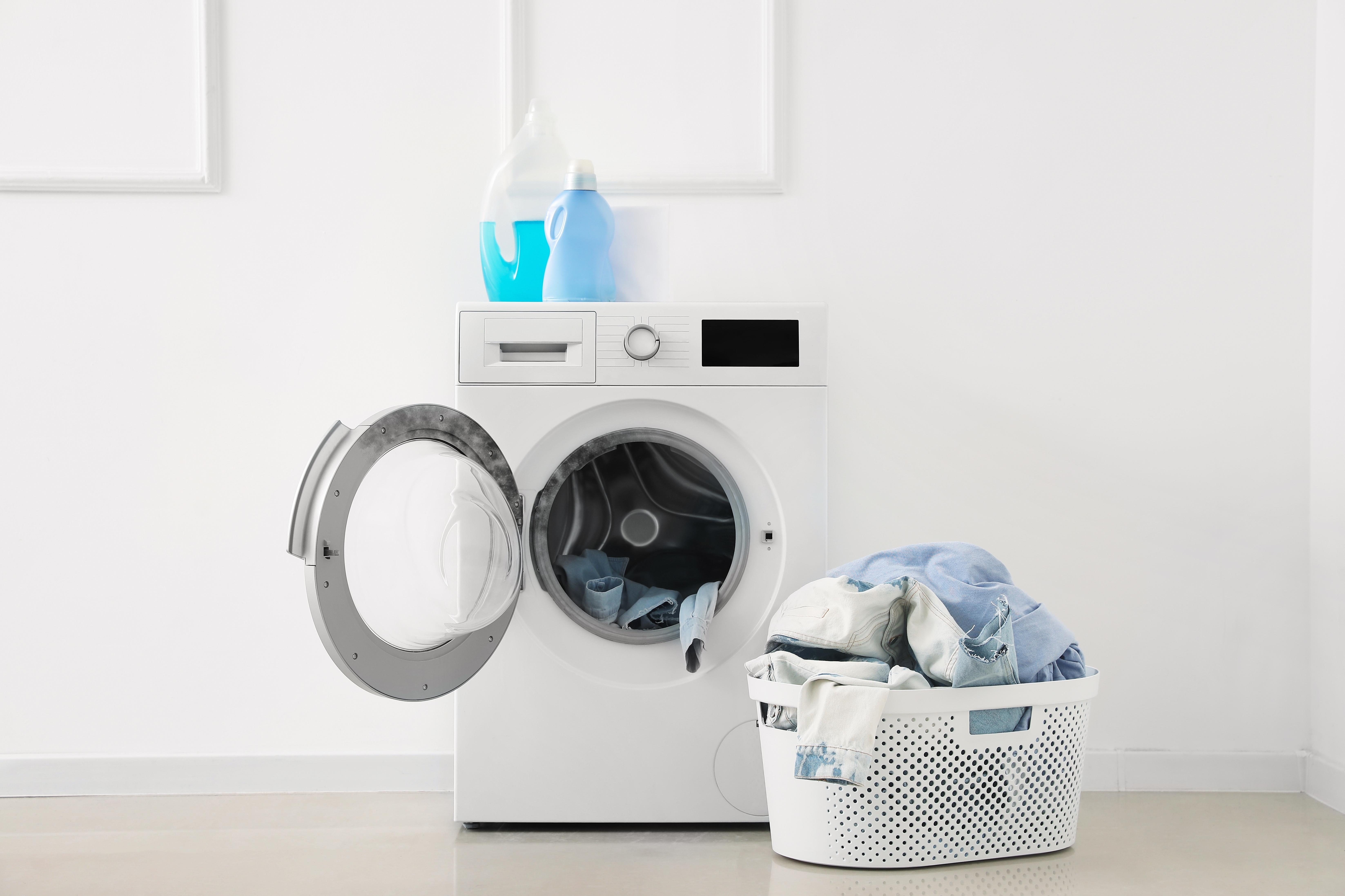 right techniques to clean black fungus with vanish