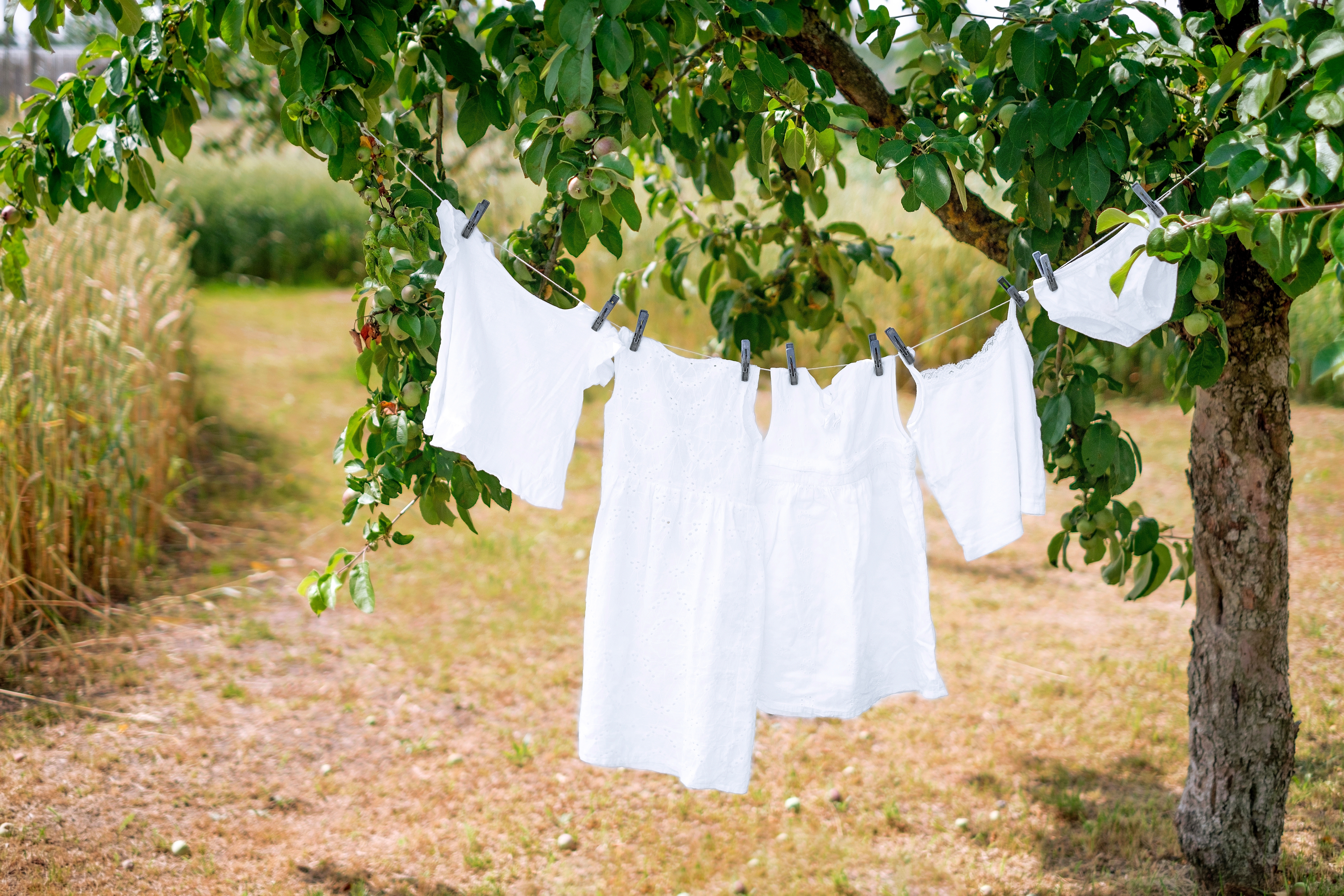 Secret to Air Drying Cotton