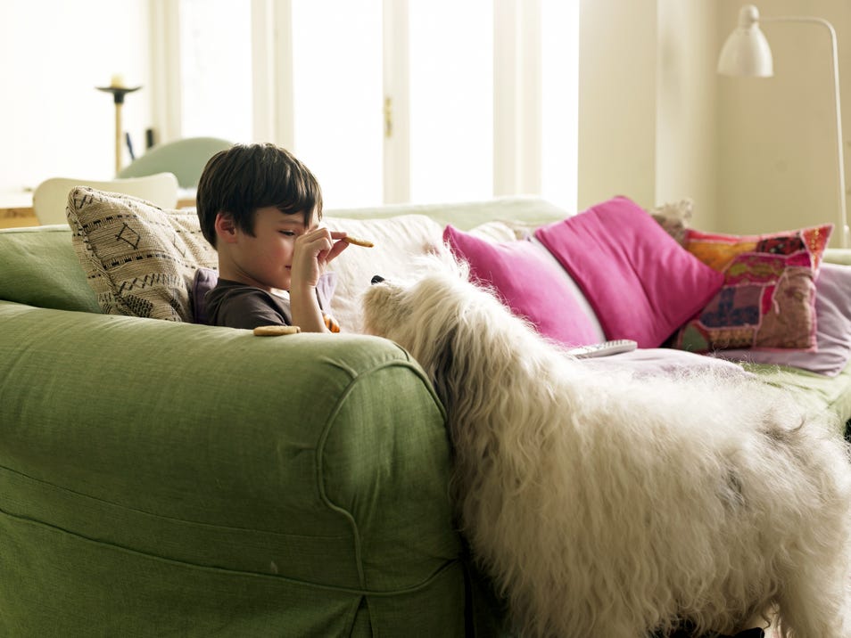 fabric sofa