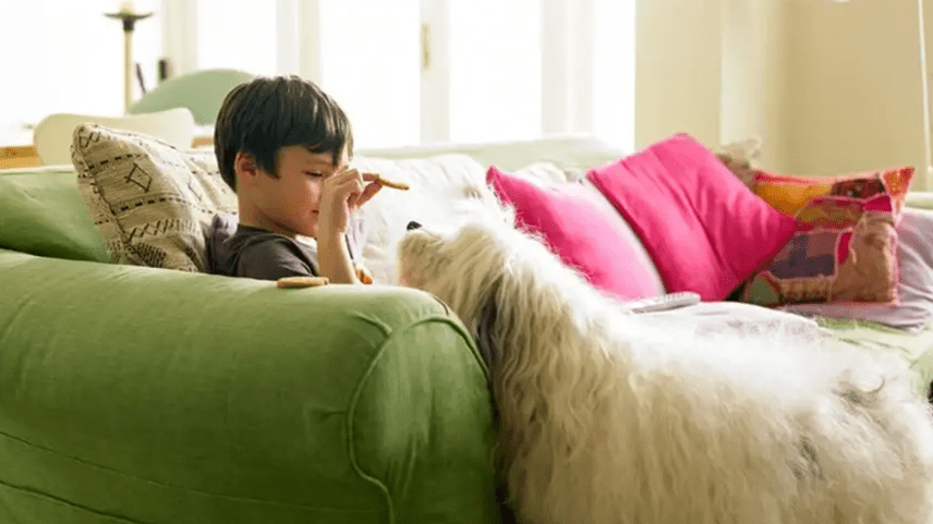 Prüfen Sie die Anweisungen des Herstellers