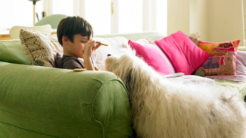 Wer war mit schlammigen Schuhen auf der Couch