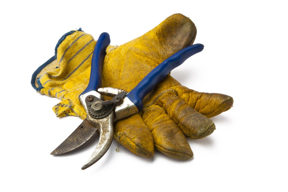 Remove stains from gardening gloves