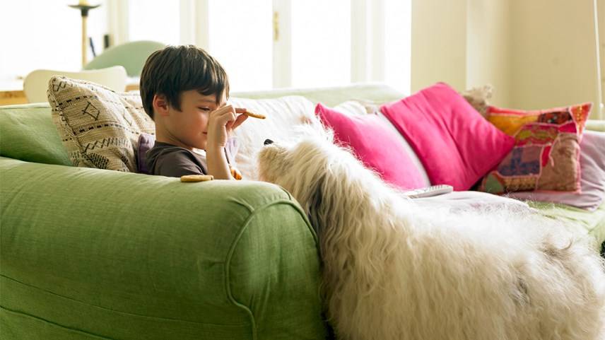 How to Remove Tea Stains from Carpets & Upholstery