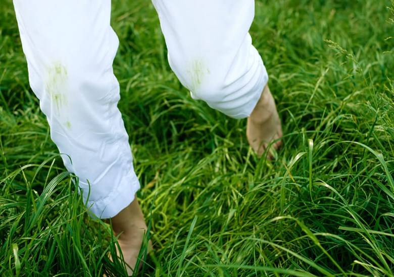 Taches d'herbe