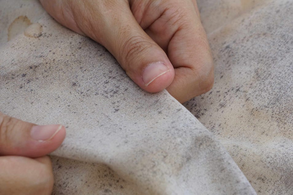 remove fungal spots from fabric.