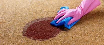 Carpet Cleaning