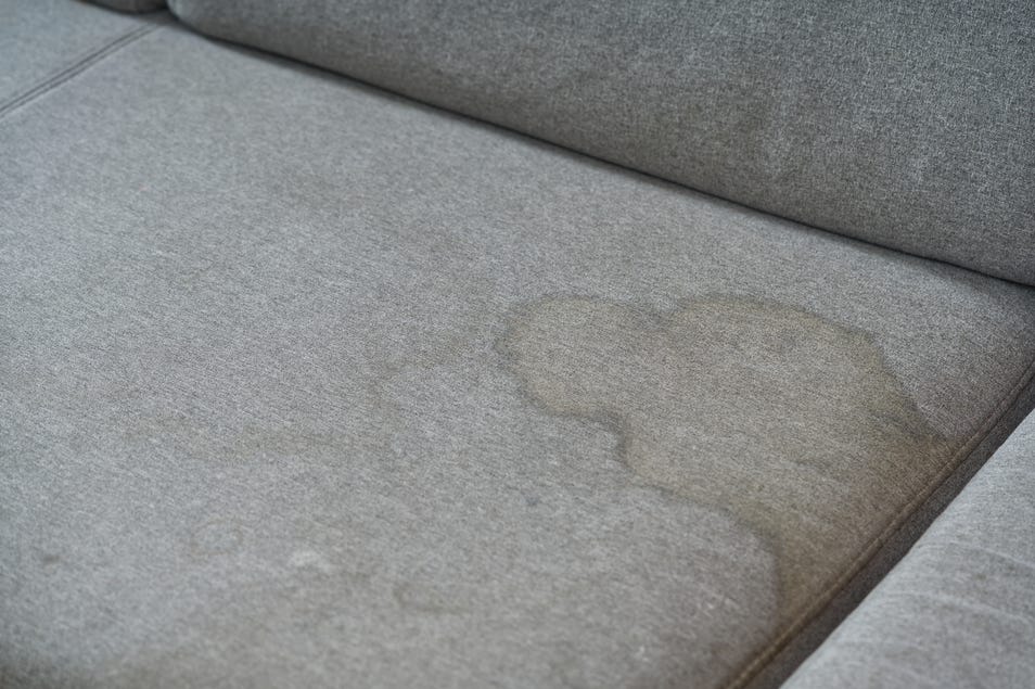 Stain Removal for Sofa