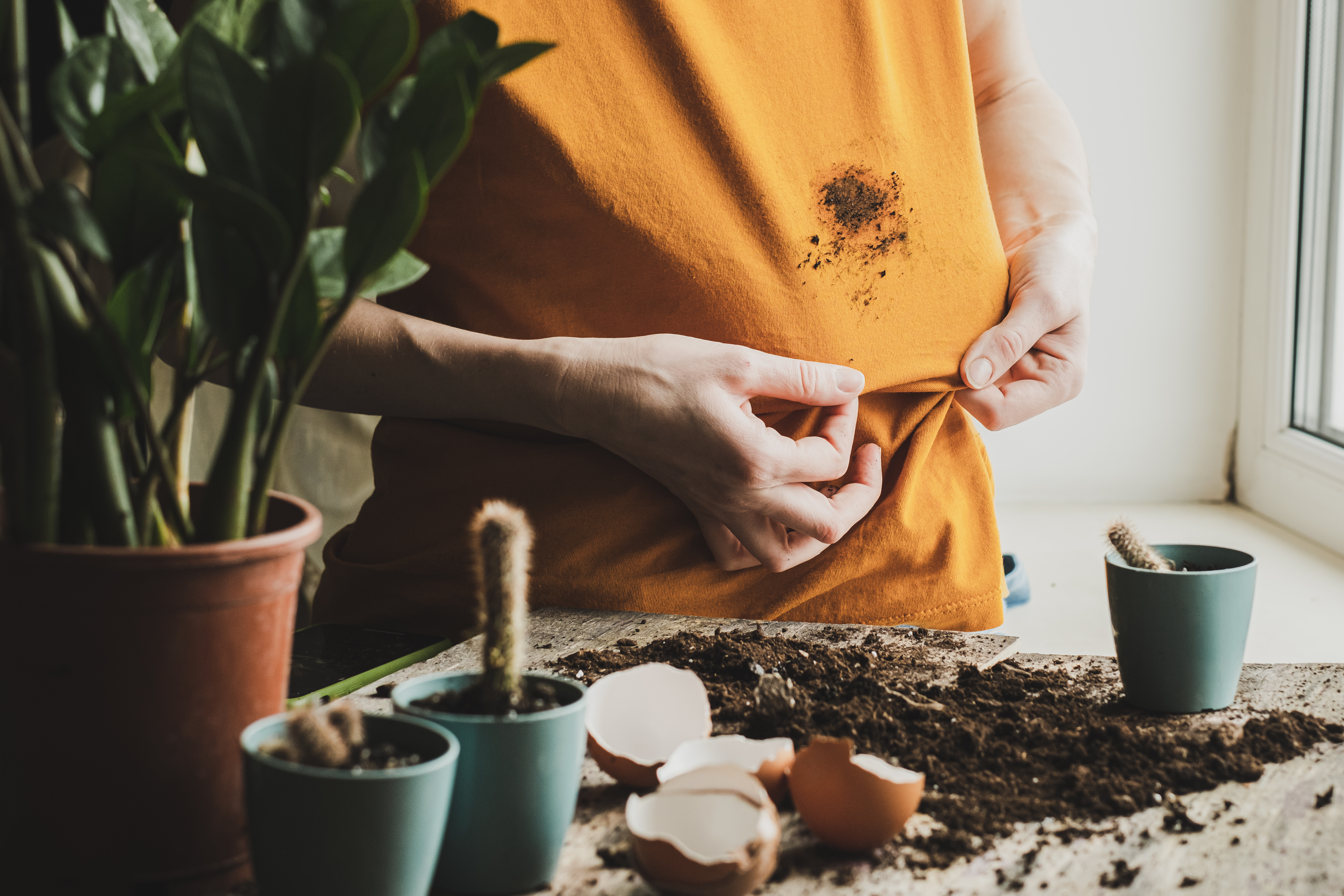 mud stain removal techniques
