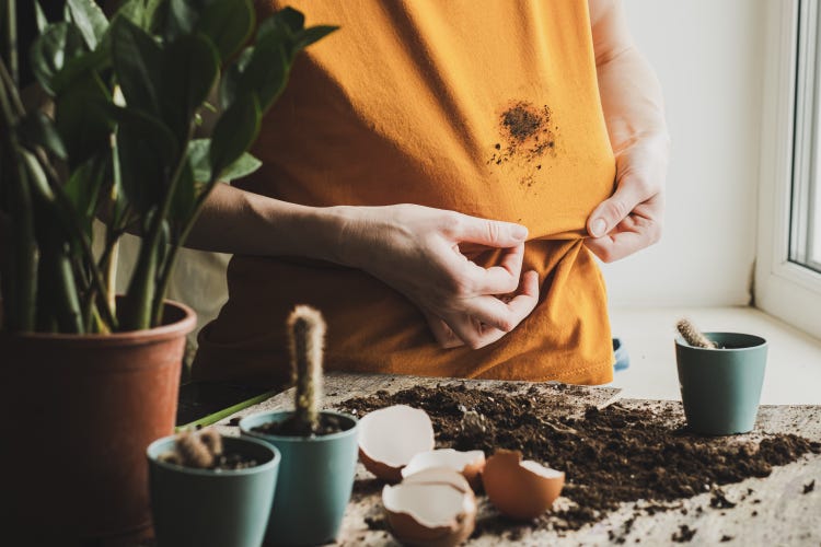 mud stain removal techniques