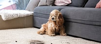 Consejos para quitar manchas especializadas