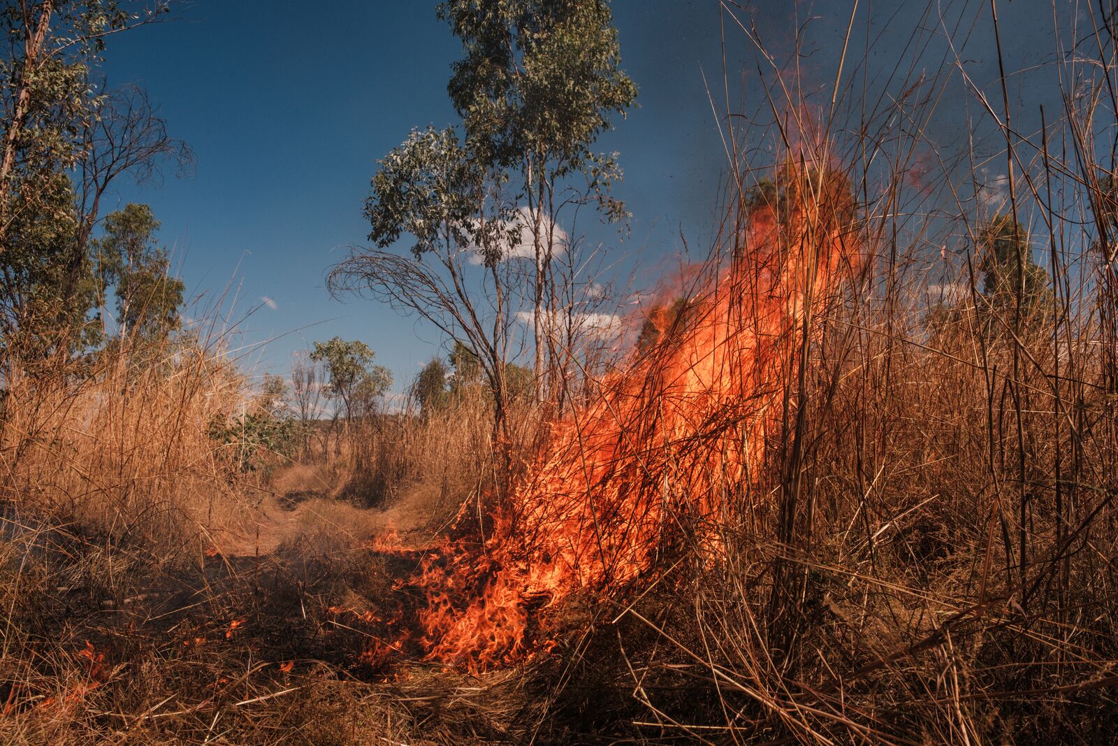 large-TNC_AUSTRALIA_2024 099.jpg