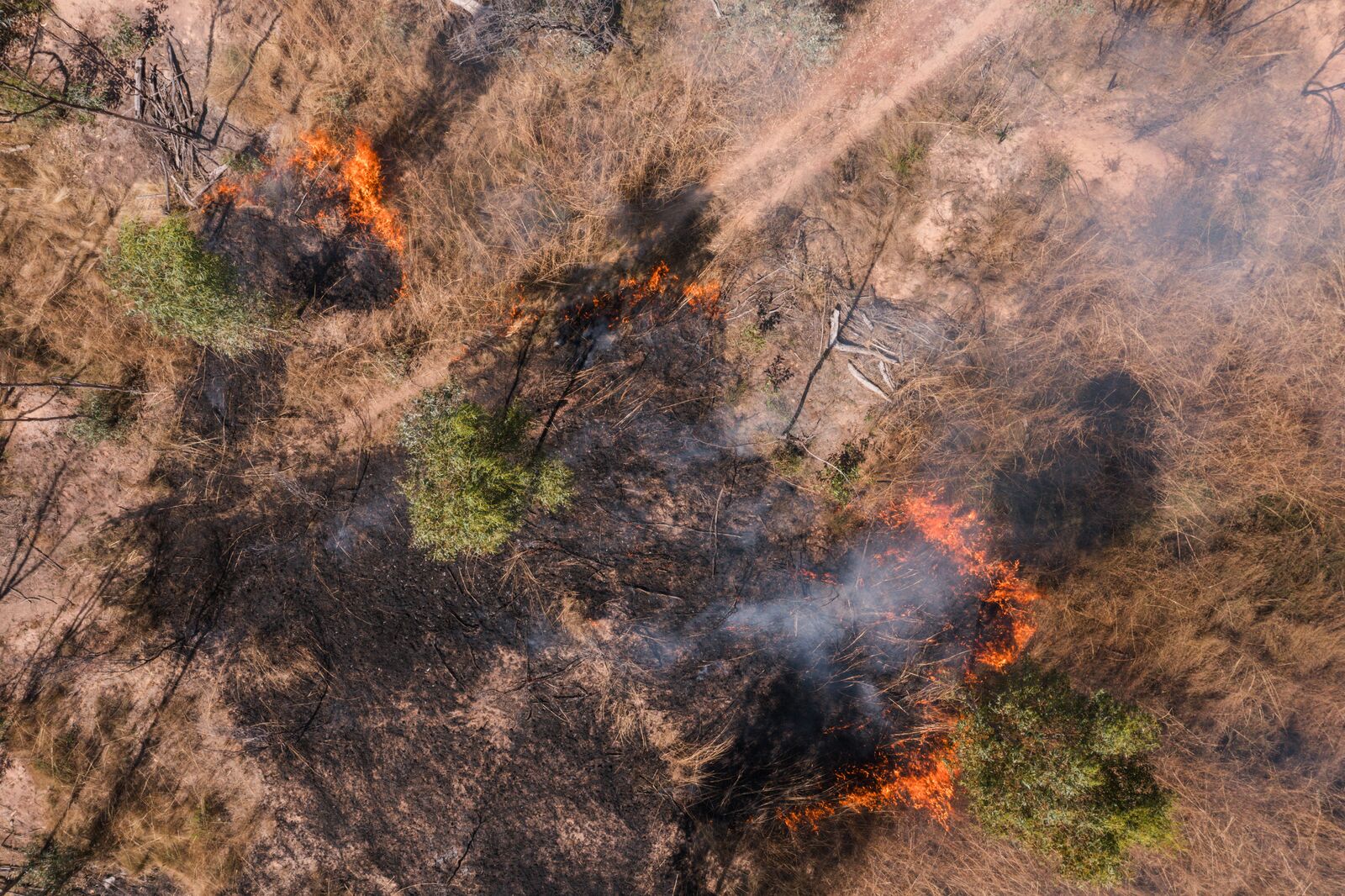 large-TNC_AUSTRALIA_2024 161.jpg