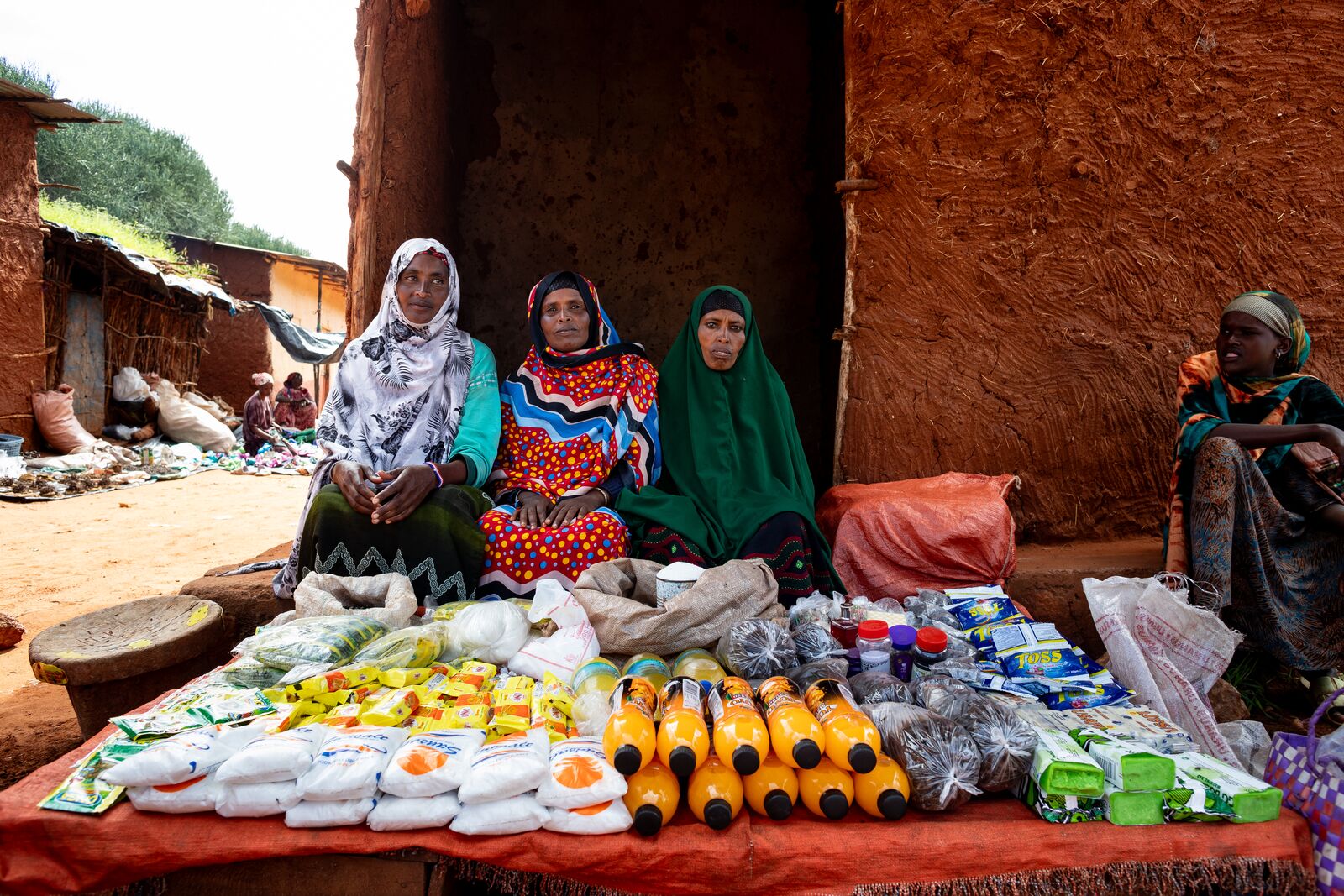 large-BOMA_ETHIOPIA_2023 118.jpg