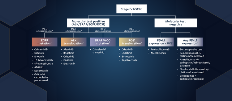 Figure 2. Stage IV NSCLC treatment options.