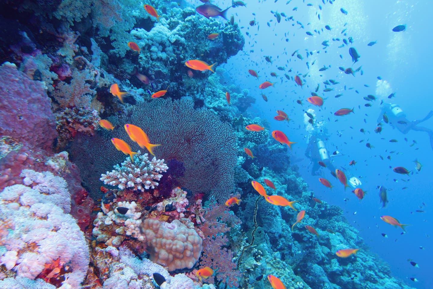 Schöner Strand in Ägypten