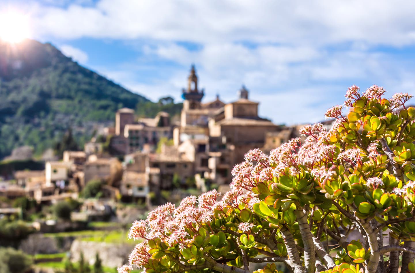 Frühling auf Mallorca