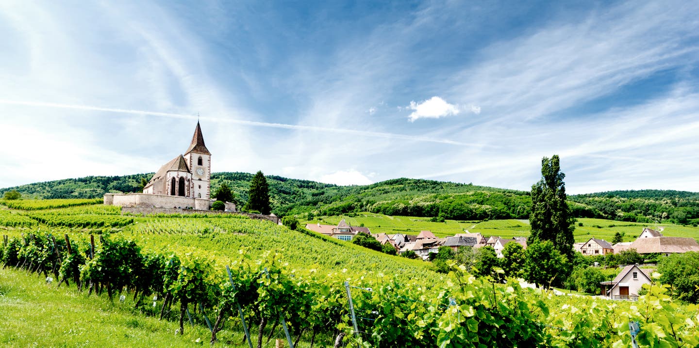 Landschaft im Elsass