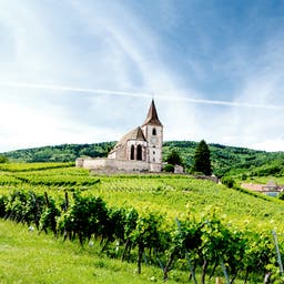 Elsass Urlaub