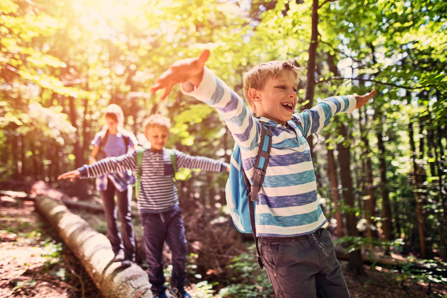 Kinder balancieren auf einem Baumstamm