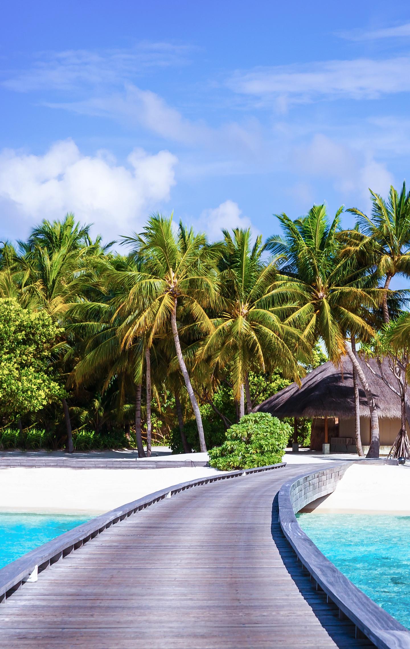 Zu den Angeboten Winterurlaub auf den Malediven