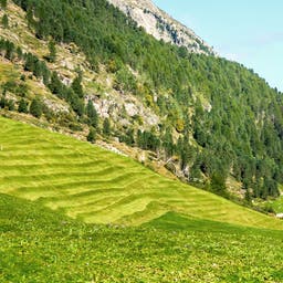 Urlaub in Ötztal