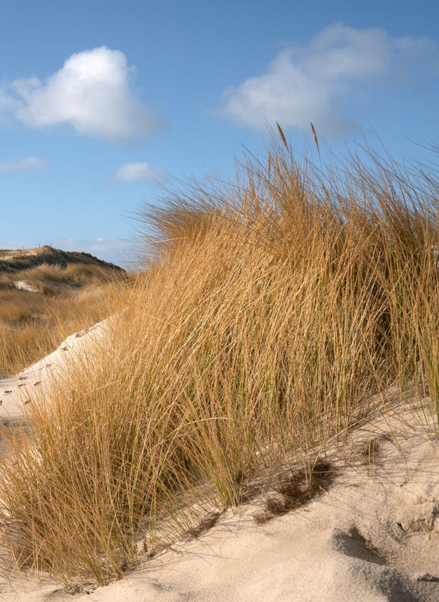 Alle Angebote entdecken Deutschland Sylt