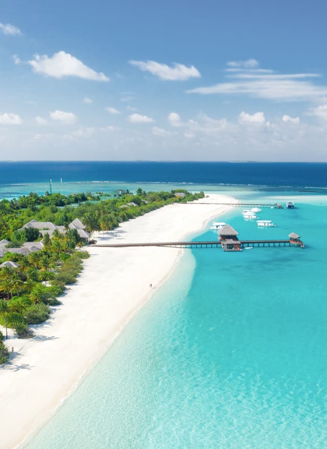 Zu den Angeboten malediven-insel-resort