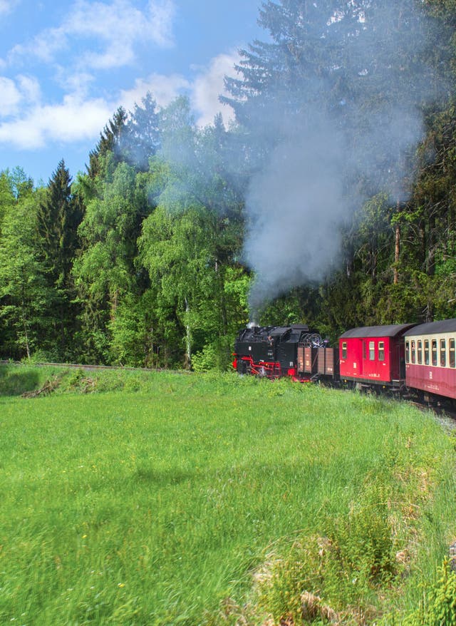 Aktiv im Harz