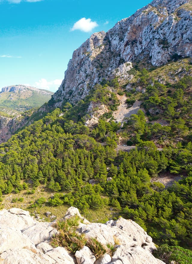 Wandern auf Mallorca