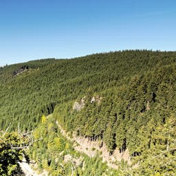 Urlaub Thüringer Wald