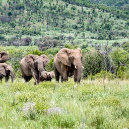 Urlaub Afrika
