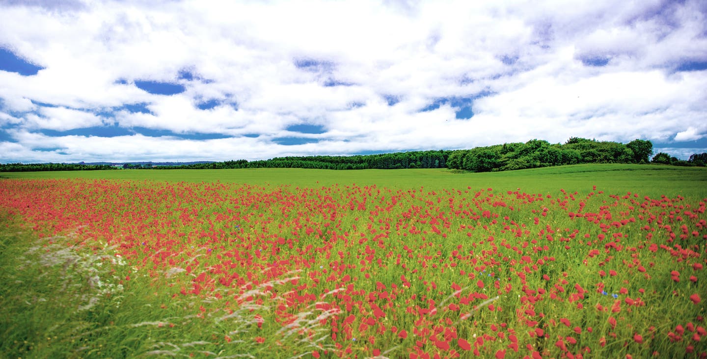 Landschaft in Südschweden