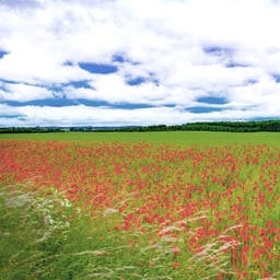 Urlaub in Südschweden