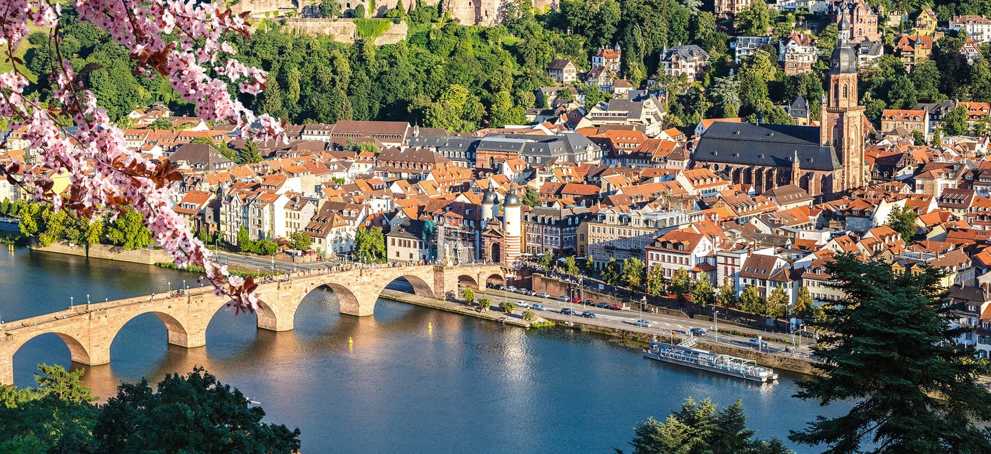 Heidelberg am Neckar