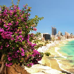 Urlaub Costa Blanca