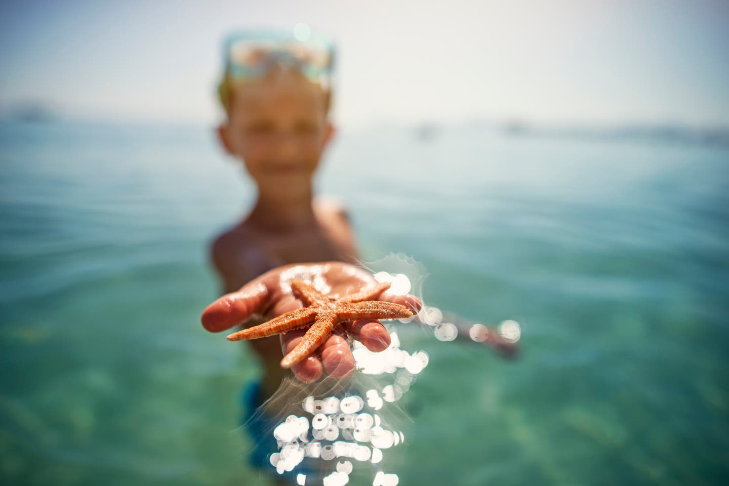 Junge am Strand mit Seestern in der Hand