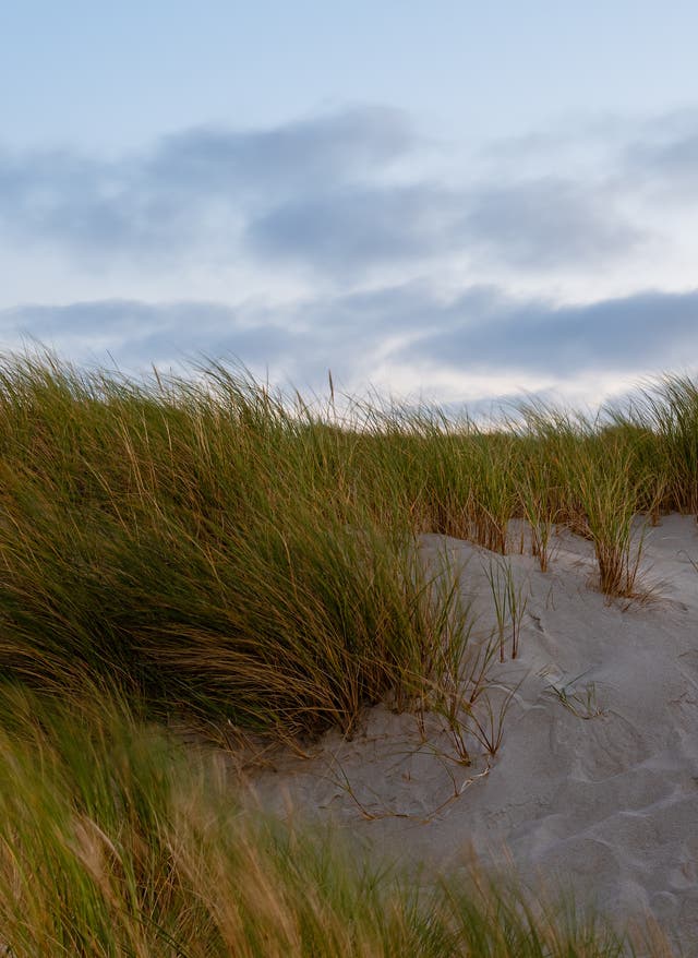 Nordsee Strände