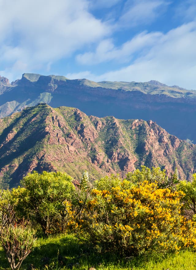 Wandern auf Gran Canaria