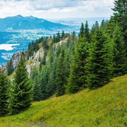 Urlaub Bayerischer Wald