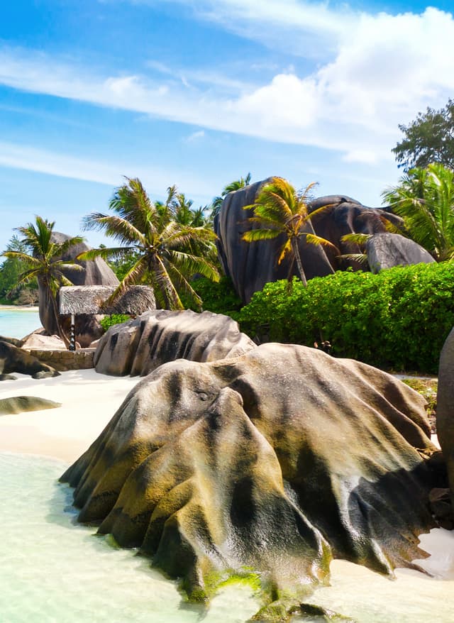 Angebote entdecken Seychellen Strand Blaues Meer Indischer Ozean