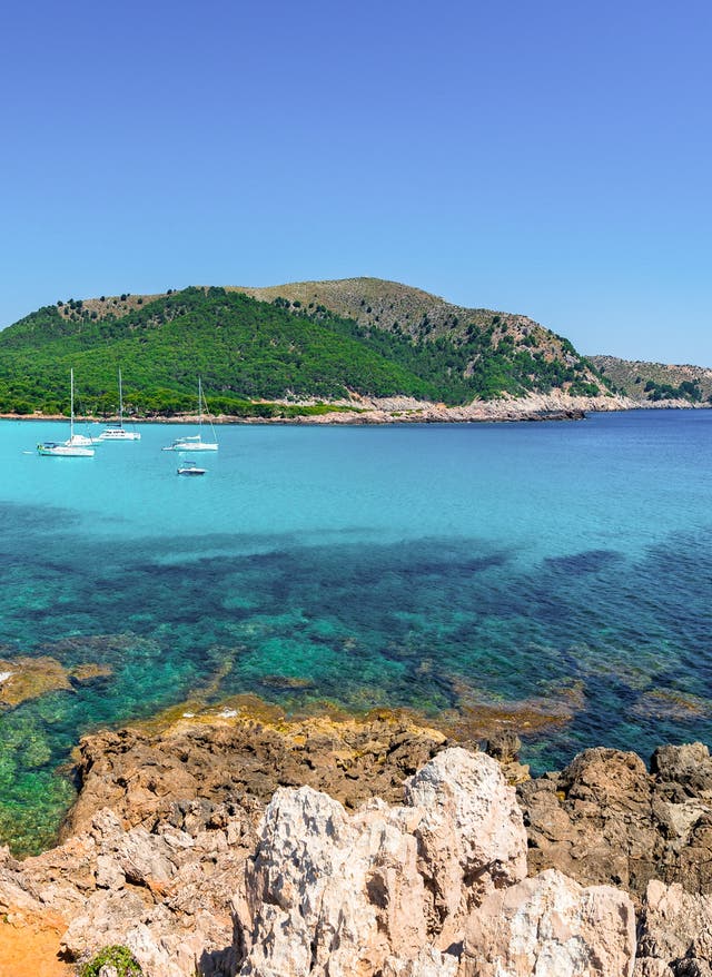 Cala-Ratjada-Strände: Entdecken Sie die 5 schönsten Buchten Mallorcas Strand von Cala Angulla