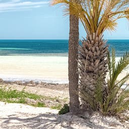 Djerba Urlaub