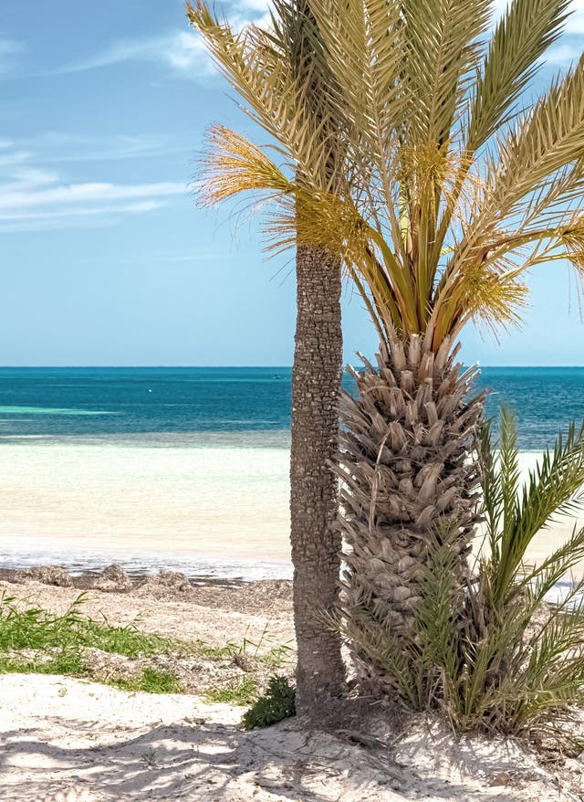 Zu den Angeboten Strand Sidi in Tunesien