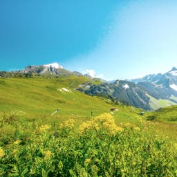 Urlaub Vorarlberg