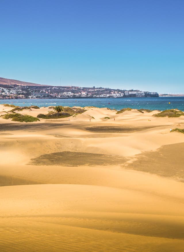 Zu den Angeboten Gran Canaria Dünen